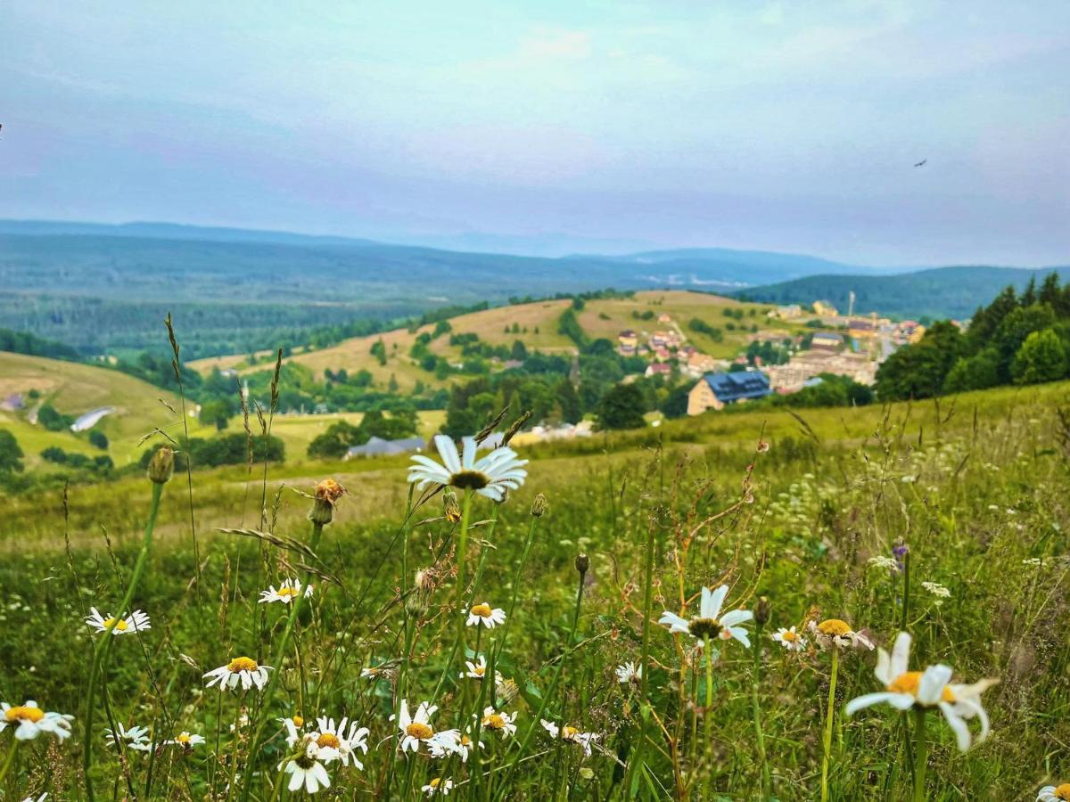 Готель Skalka Zieleniec Душники-Здруй Екстер'єр фото